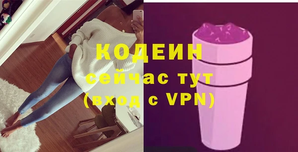 дживик Абаза