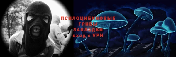 сатива Абдулино