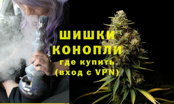 дживик Абаза