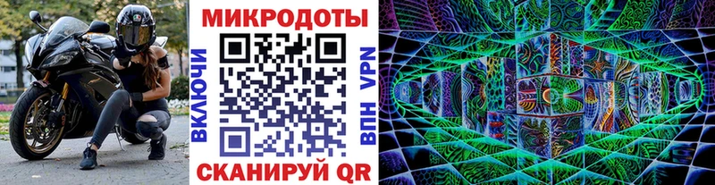 купить наркоту  Россошь  Псилоцибиновые грибы Psilocybe 